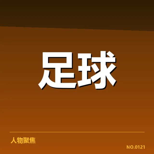 已确认的项目参与及施工安排